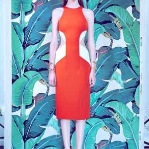 Cushnie Et Ochs Dress with Side Cut Out.